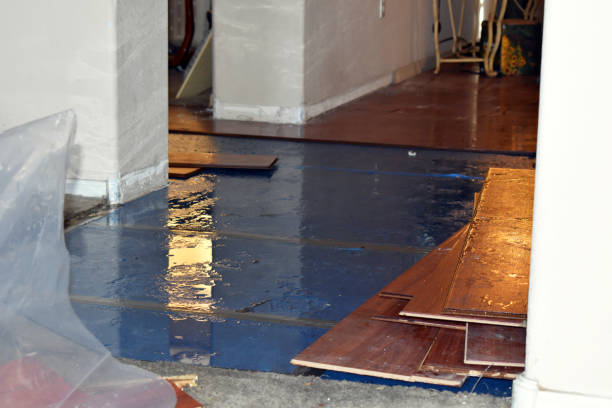 Professional Burst Pipe Cleanup technician working in Townville, SC